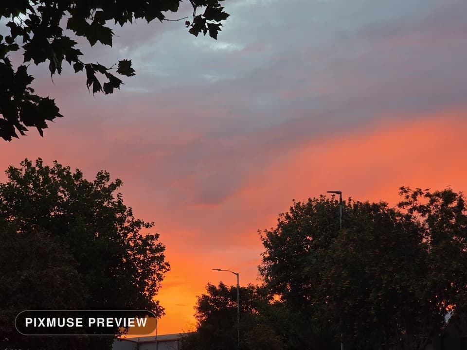 Burning Sunset Through Trees 3