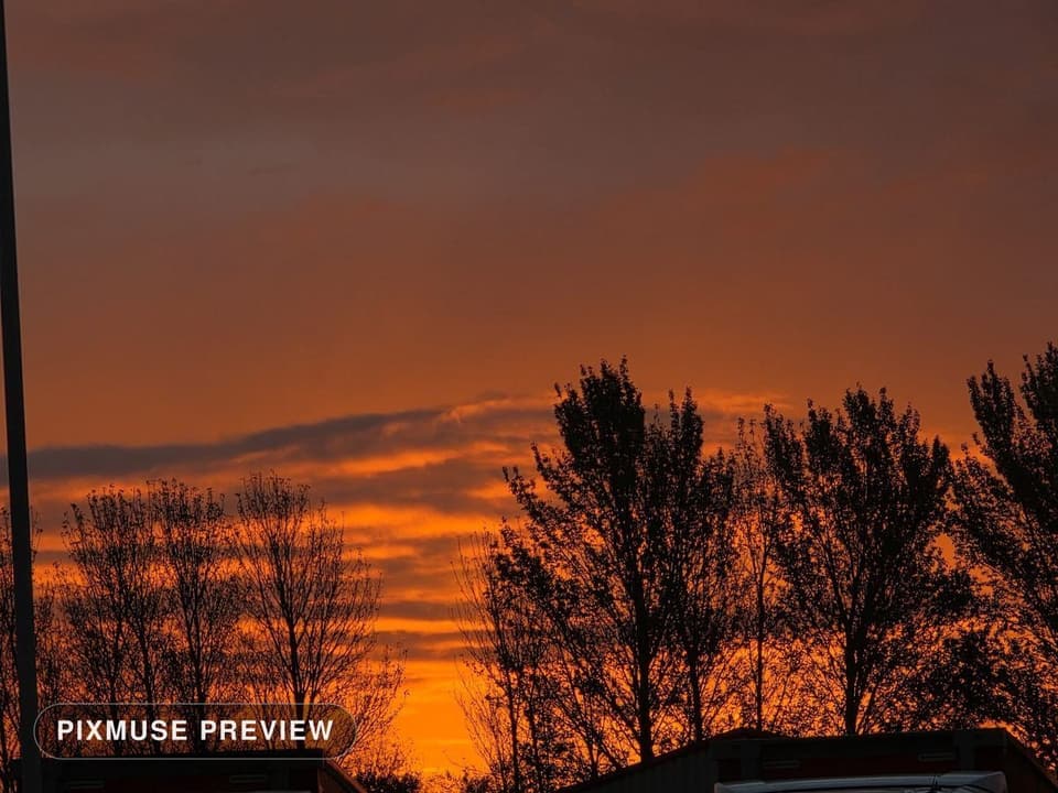 Burning Sunset Through Trees 4