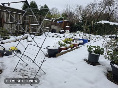 Snow on the Vegetable Beds 4